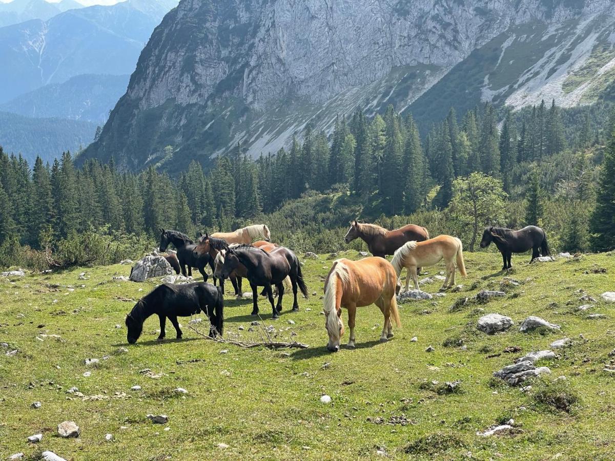 Отель Europarcs Leutasch-Seefeld Экстерьер фото